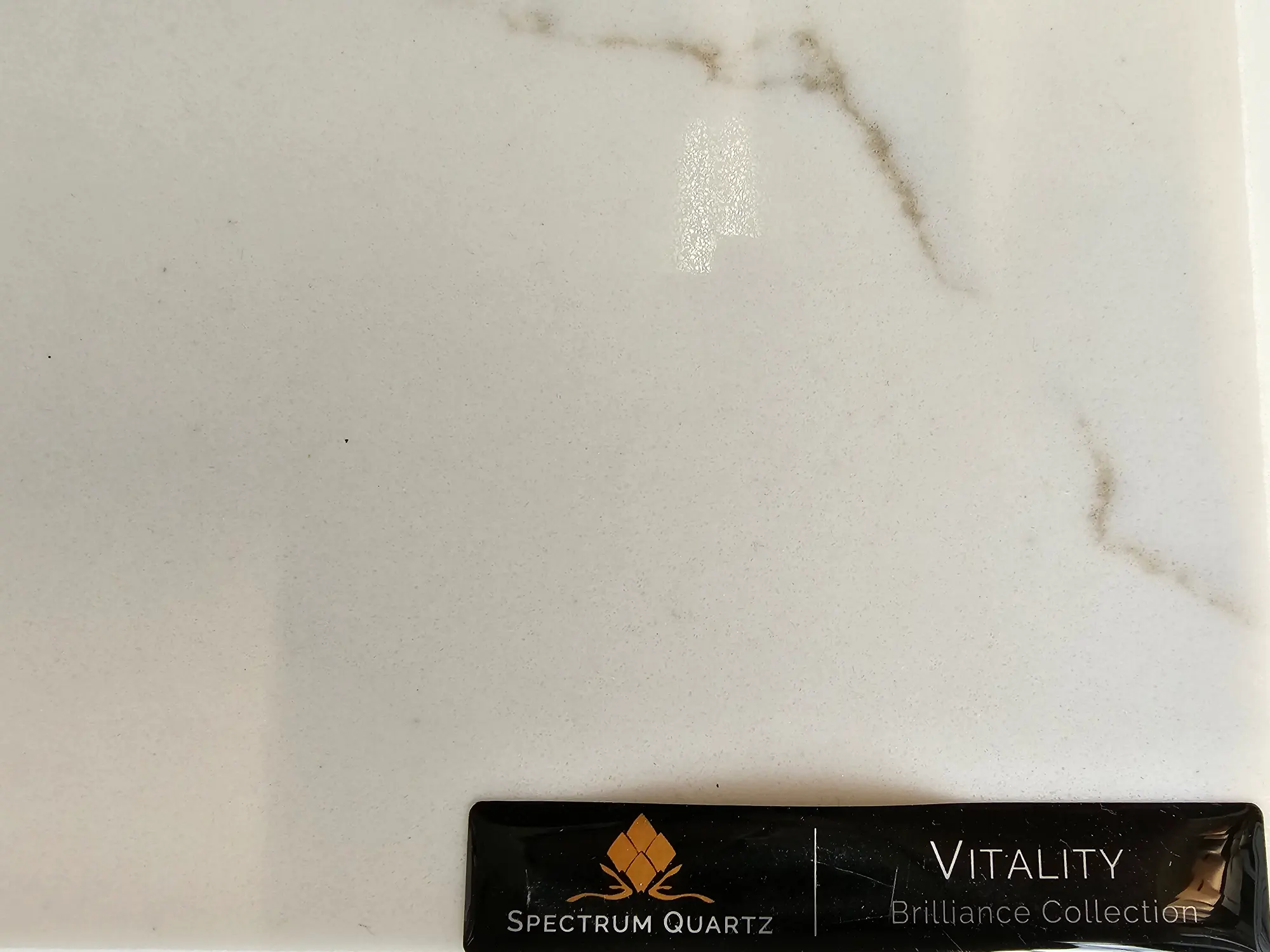 Vitality spectrum quartz countertop