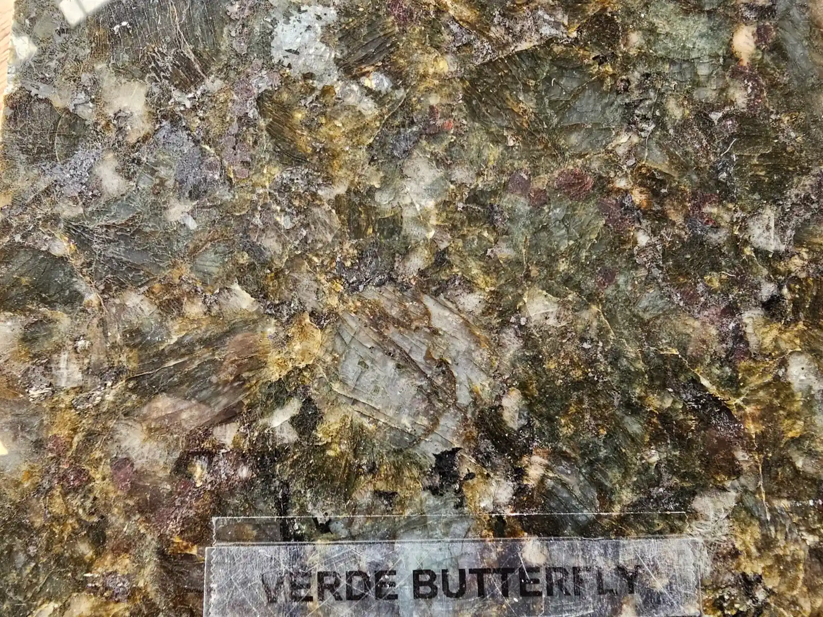 Verde Butterfly granite countertop style and material